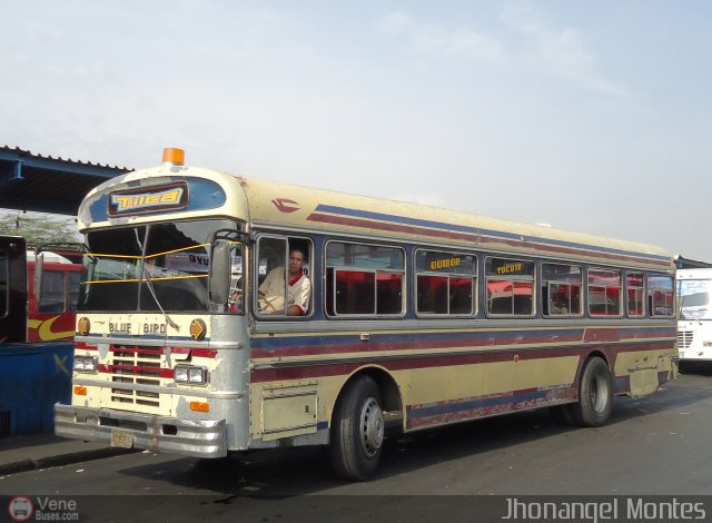 Lnea Tilca - Transporte Inter-Larense C.A. 08 por Jhonangel Montes