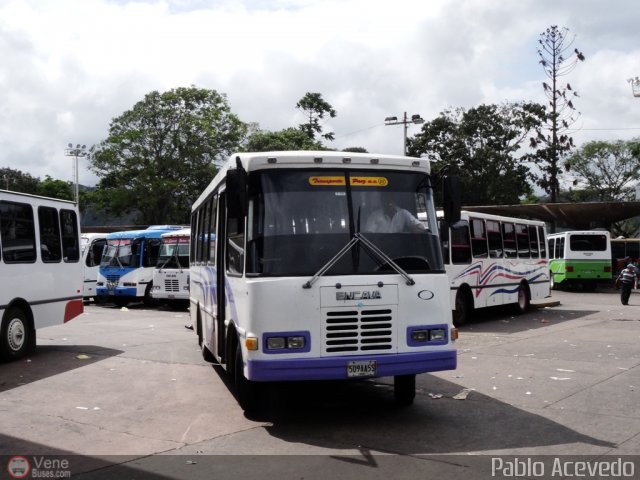 A.C. Transporte Paez 055 por Pablo Acevedo