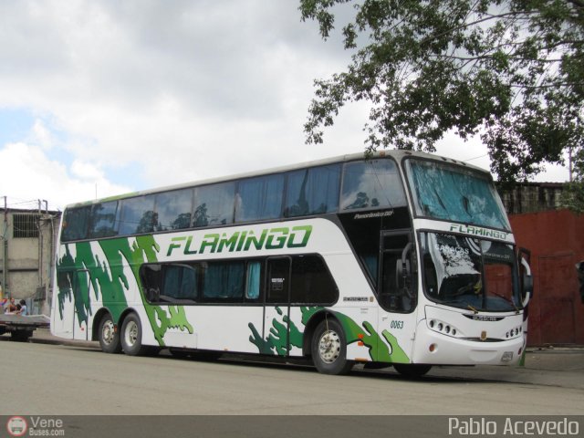 Expresos Flamingo 0063 por Pablo Acevedo