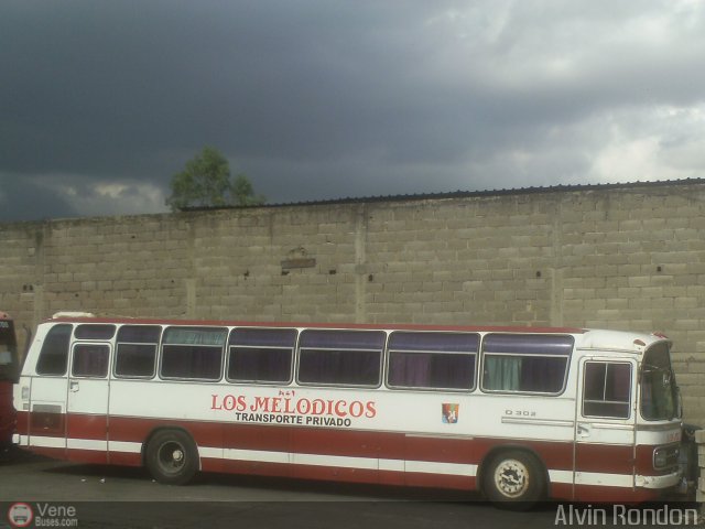 Orquesta Los Meldicos 01 por Alvin Rondn