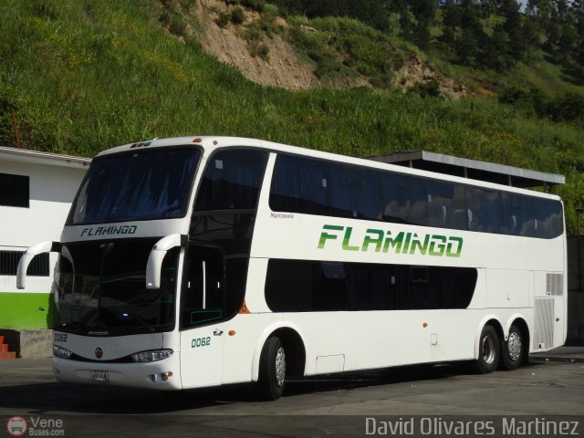 Expresos Flamingo 0062 por David Olivares Martinez