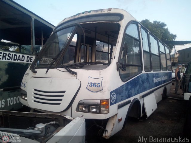 En Chiveras Abandonados Recuperaci�n 365 por Aly Baranauskas