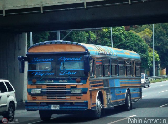 Transporte Colectivo Camag 10 por Pablo Acevedo