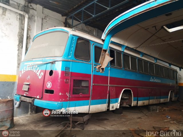 Transporte Las Delicias C.A. 31 por Jos� Brice�o
