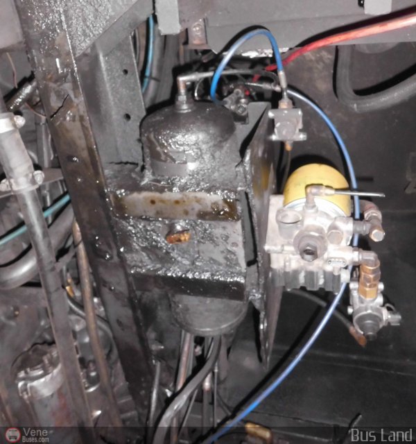 Particular o Desconocido 0343 por Waldir Mata