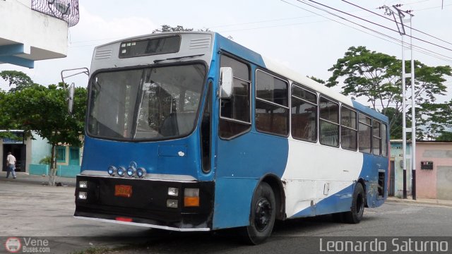 Particular 999 por Leonardo Saturno