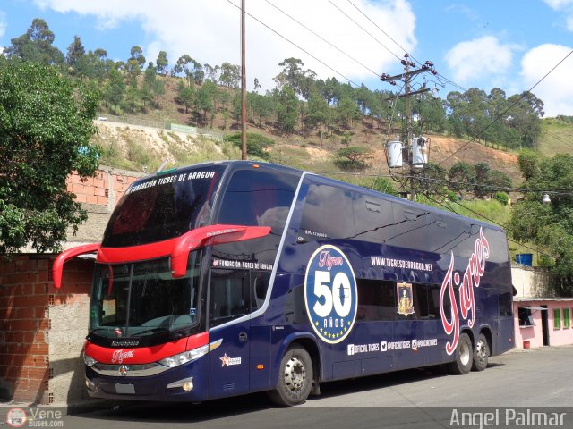 Tigres de Aragua B.B.C. 01 por Waldir Mata