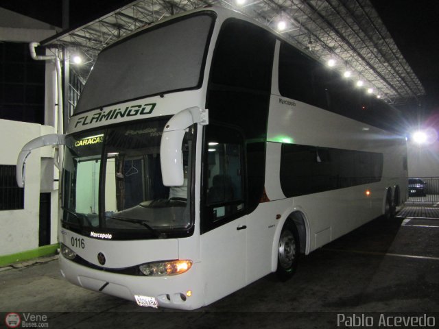 Expresos Flamingo 0116 por Pablo Acevedo