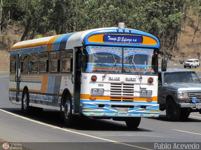 Transporte El Esfuerzo 03 por Pablo Acevedo