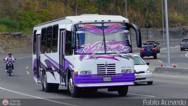 DC - A.C. Lnea Cultura 102 por Pablo Acevedo