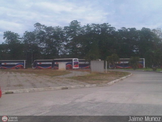 Expresos Occidente EOCA-27 por Pablo Acevedo