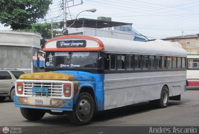 Transporte Colectivo Palo Negro 002 por Andrs Ascanio