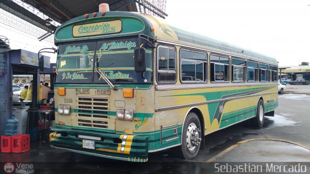 ZU - Colectivos Concepcin 047 por Sebastin Mercado