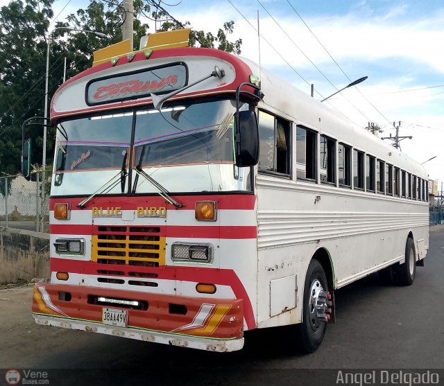 Colectivos Manuelote C.A. 16 por �ngel Delgado