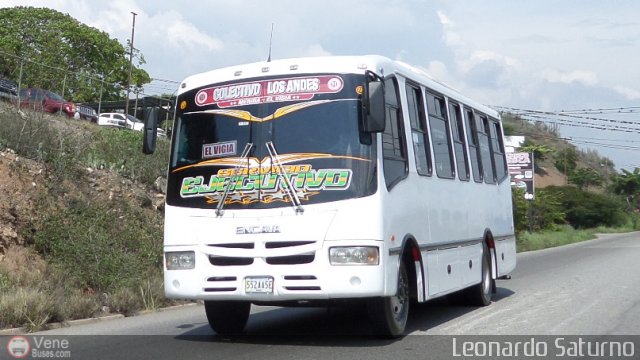 Colectivo Los Andes 11 por Leonardo Saturno