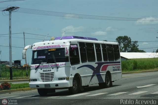 A.C. Transporte Paez 045 por Pablo Acevedo