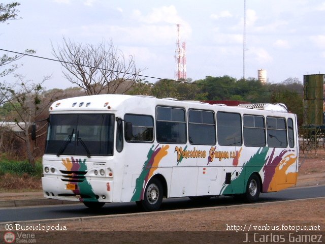 Vencedores Guayana 26 por Alvin Rondn