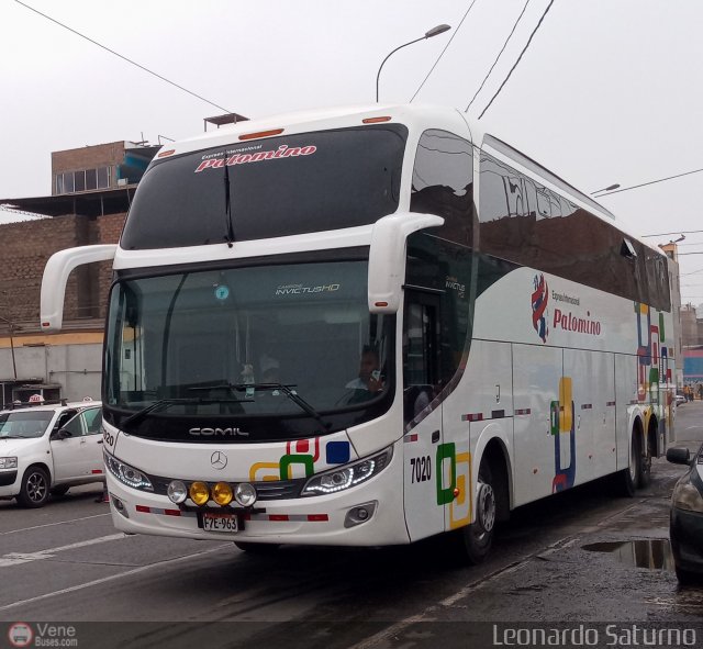 Expreso Internacional Palomino 7020 por Leonardo Saturno