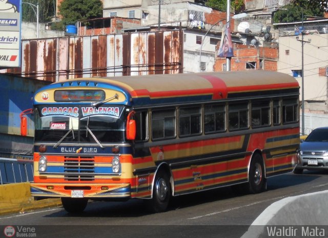 Transporte Unido 041 por Waldir Mata