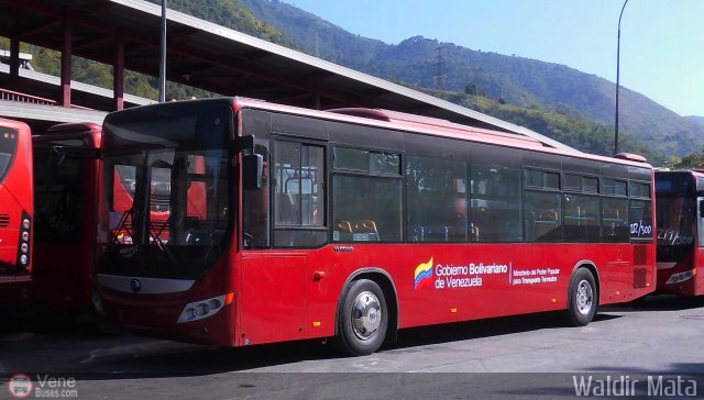 Uso Oficial 212 por Waldir Mata