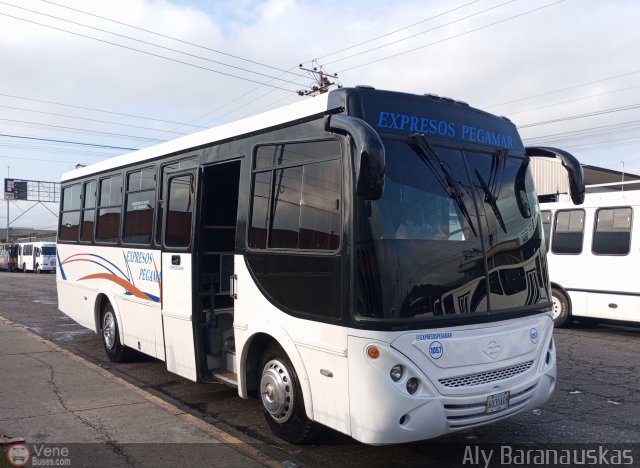 Expresos Pegamar 1057 por Aly Baranauskas
