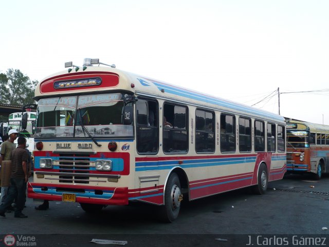 Lnea Tilca - Transporte Inter-Larense C.A. 01 por J. Carlos Gmez