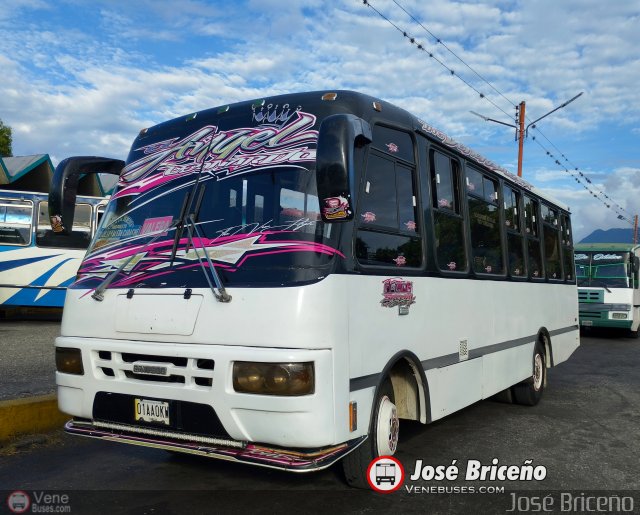 L�nea Santa Teresita 20  por Jos� Brice�o