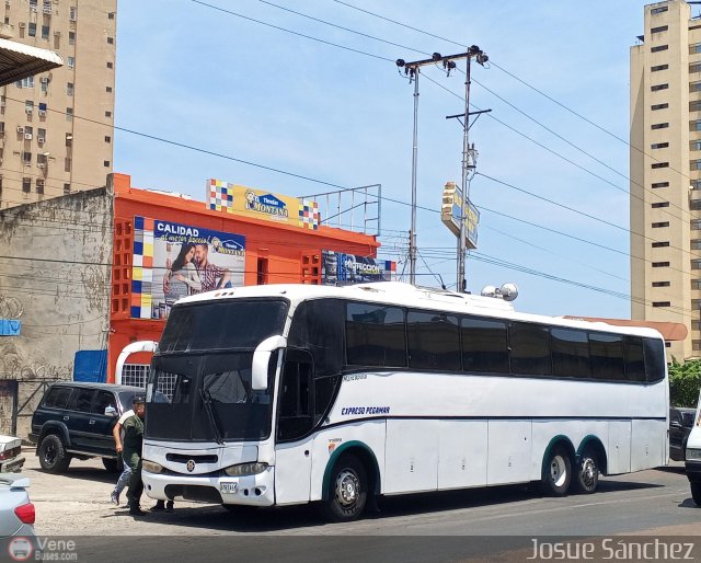 Expresos Pegamar 3001 por Josue S�nchez