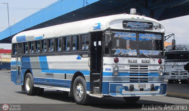 AR - A.C. Uni�n Santa Rita 166 por Andr�s Ascanio