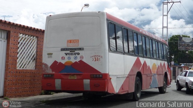 Transporte Taes 31 por Leonardo Saturno