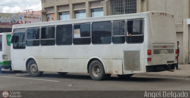 ZU - Ra�l Leoni 33 por �ngel Delgado