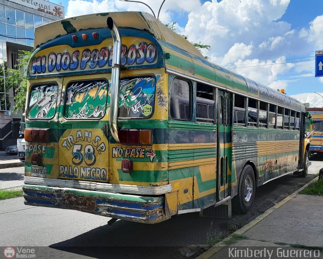 Transporte Palo Negro La Morita 2 058 por Kimberly Guerrero