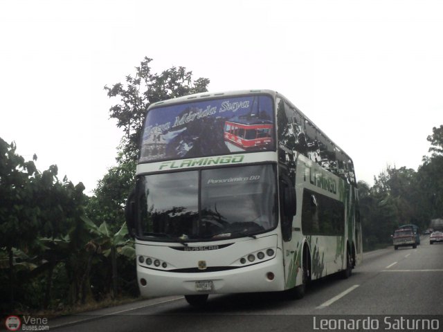 Expresos Flamingo 0341 por Leonardo Saturno