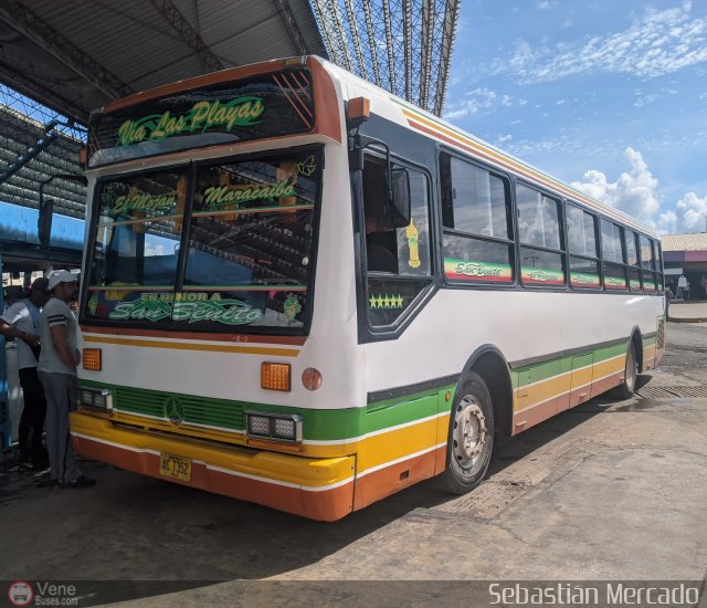 Colectivo San Rafael 02 por Sebastin Mercado