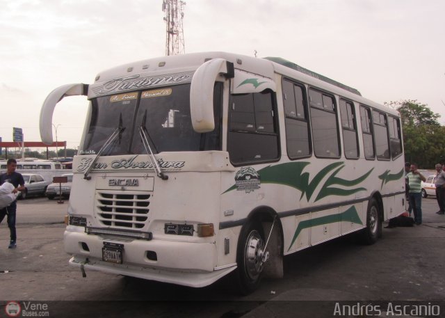 A.C. L�nea Mariscal 05 por Andr�s Ascanio