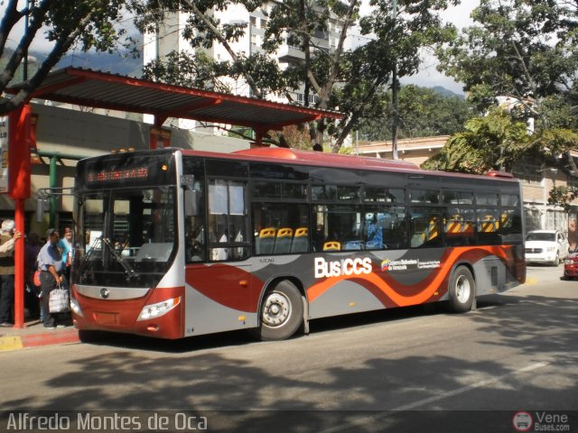 Bus CCS 1178 por Alfredo Montes de Oca