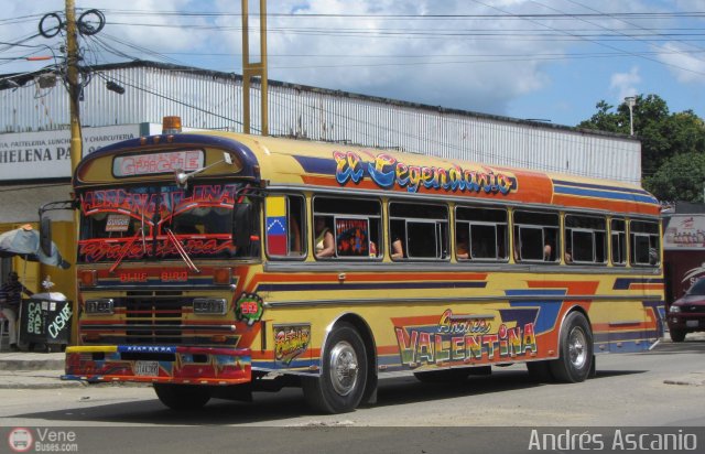 Expresos Gige 10 por Andrs Ascanio