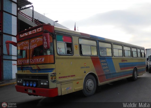 Transporte Unido 079 por Waldir Mata