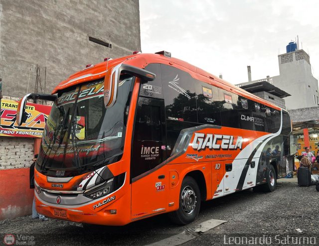 Tax Gacela 010 por Leonardo Saturno