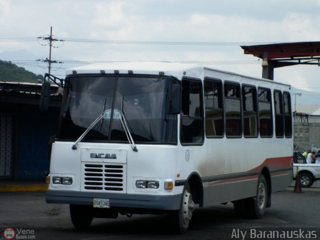 Unin Sucre 299 por Aly Baranauskas