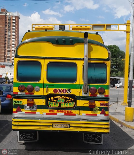 Transporte Palo Negro La Morita 2 021 por Kimberly Guerrero