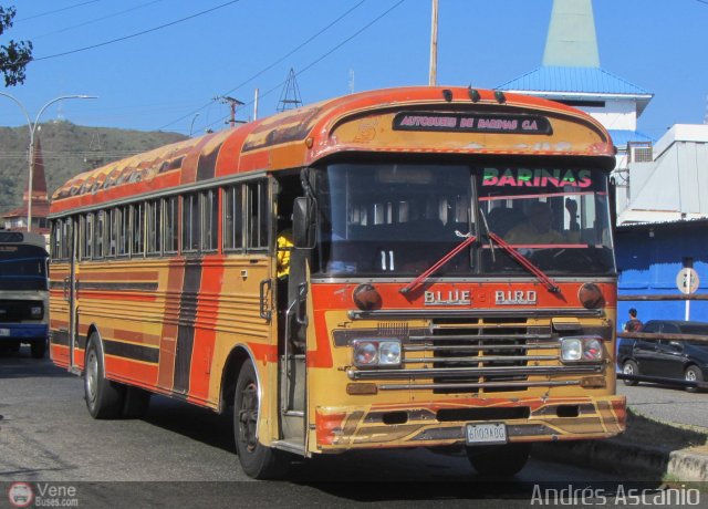Autobuses de Barinas 005 por Andr�s Ascanio