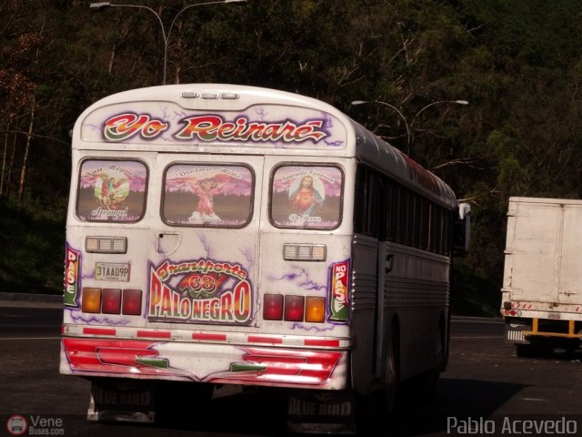 Transporte Colectivo Palo Negro 68 por Pablo Acevedo