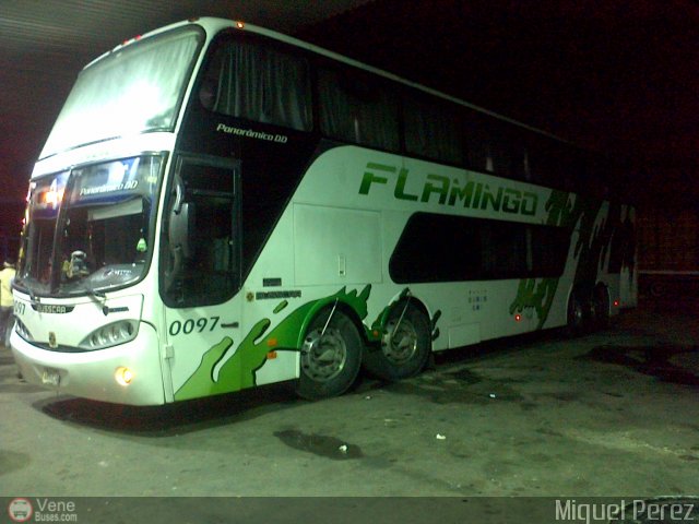 Expresos Flamingo 0097 por Miguel Perez