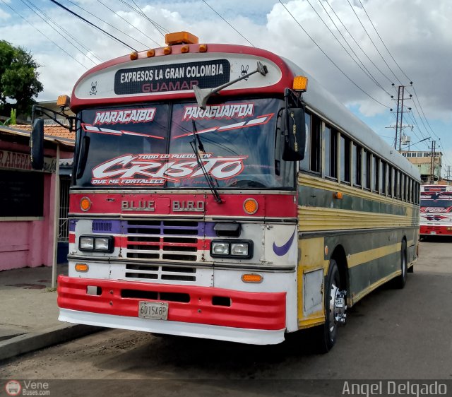 Expresos La Gran Colombia 37 por Ángel Delgado