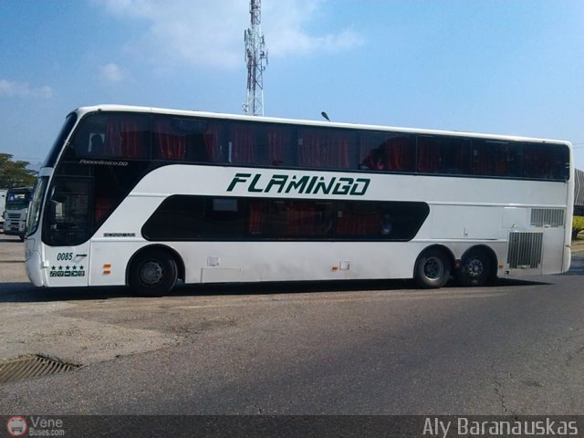 Expresos Flamingo 0085 por Royner Tovar