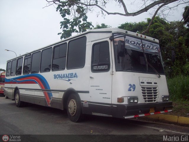 Transporte Bonanza 0029 por Mario Gil