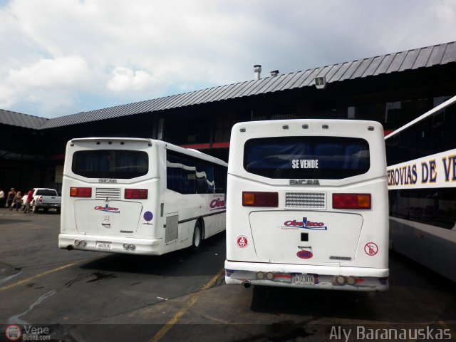 Garajes Paradas y Terminales Caracas por Aly Baranauskas