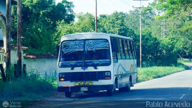 Particular o Desconocido Miranda por Pablo Acevedo