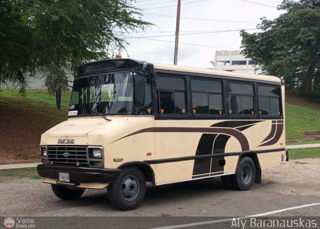 Particular o Desconocido 012 por Aly Baranauskas